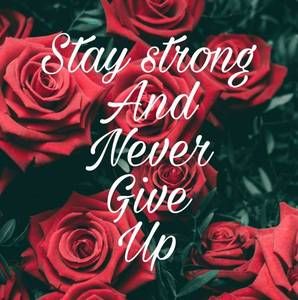 Meet your Posher, Phyllis